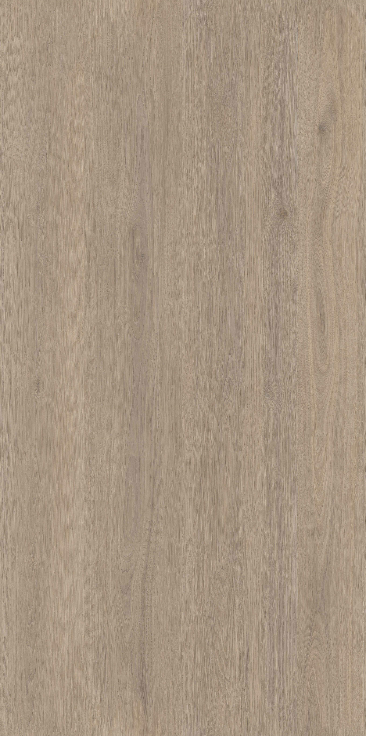 金丝柚木 FMJR715239B 产品图