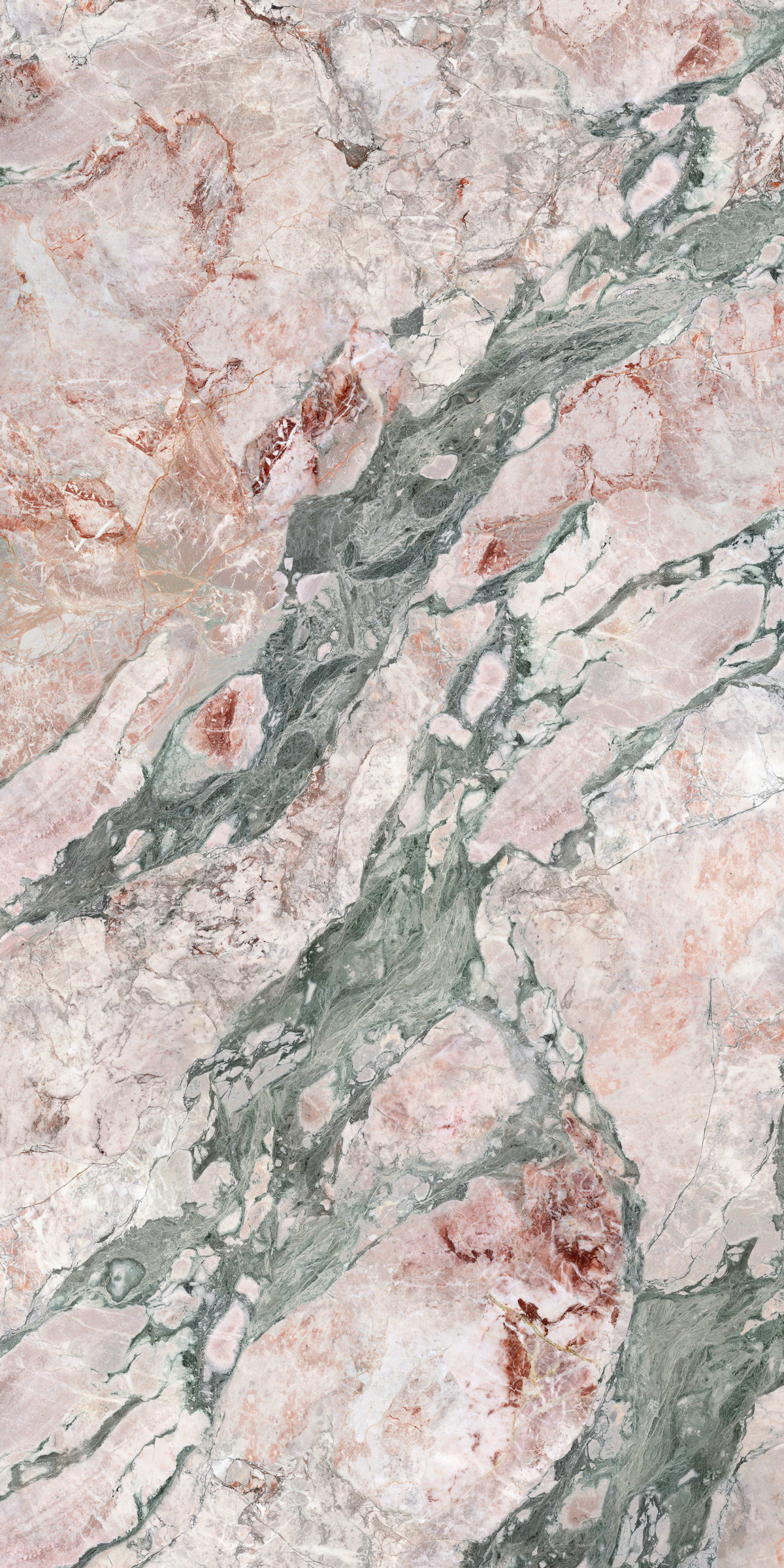 四季粉 QHD163212TS178-A/B产品图