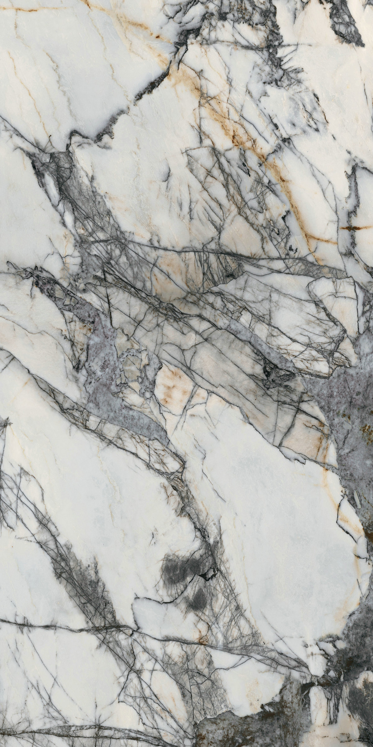 天堂鸟 QHA163212L309-A/B  产品图