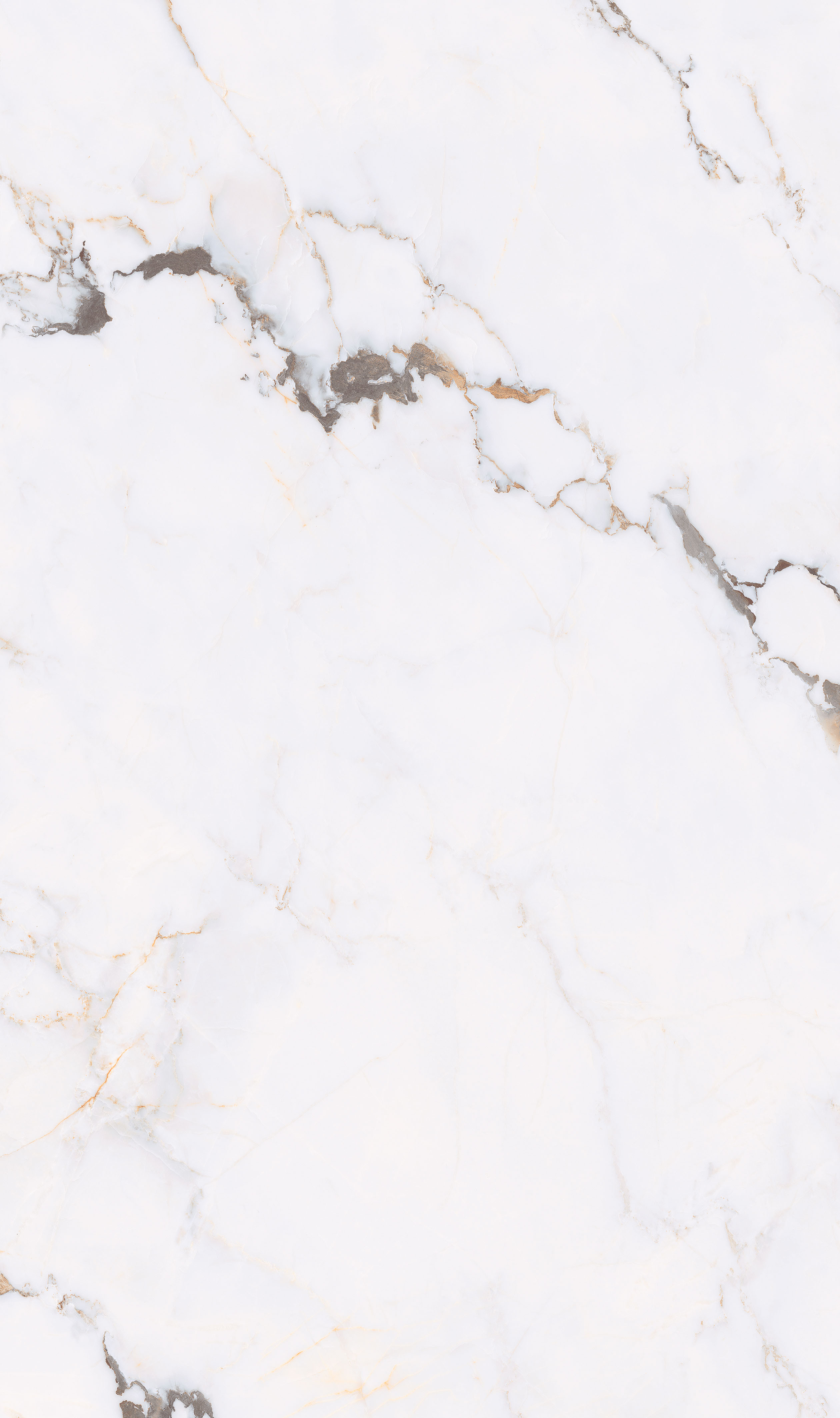 宝格丽 Q8135ZS266C 产品图